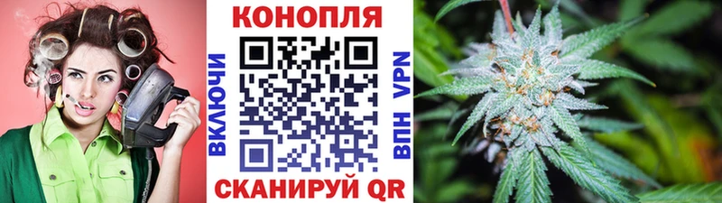 ГАШИШ Нолинск