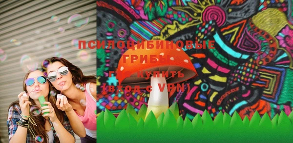 крисы Нязепетровск