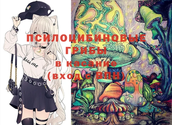 таблы Осинники