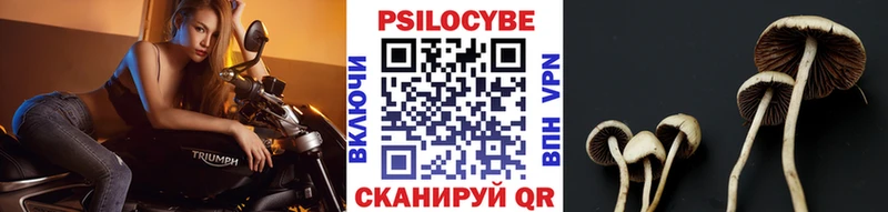 hydra вход  Нолинск  Псилоцибиновые грибы мухоморы 